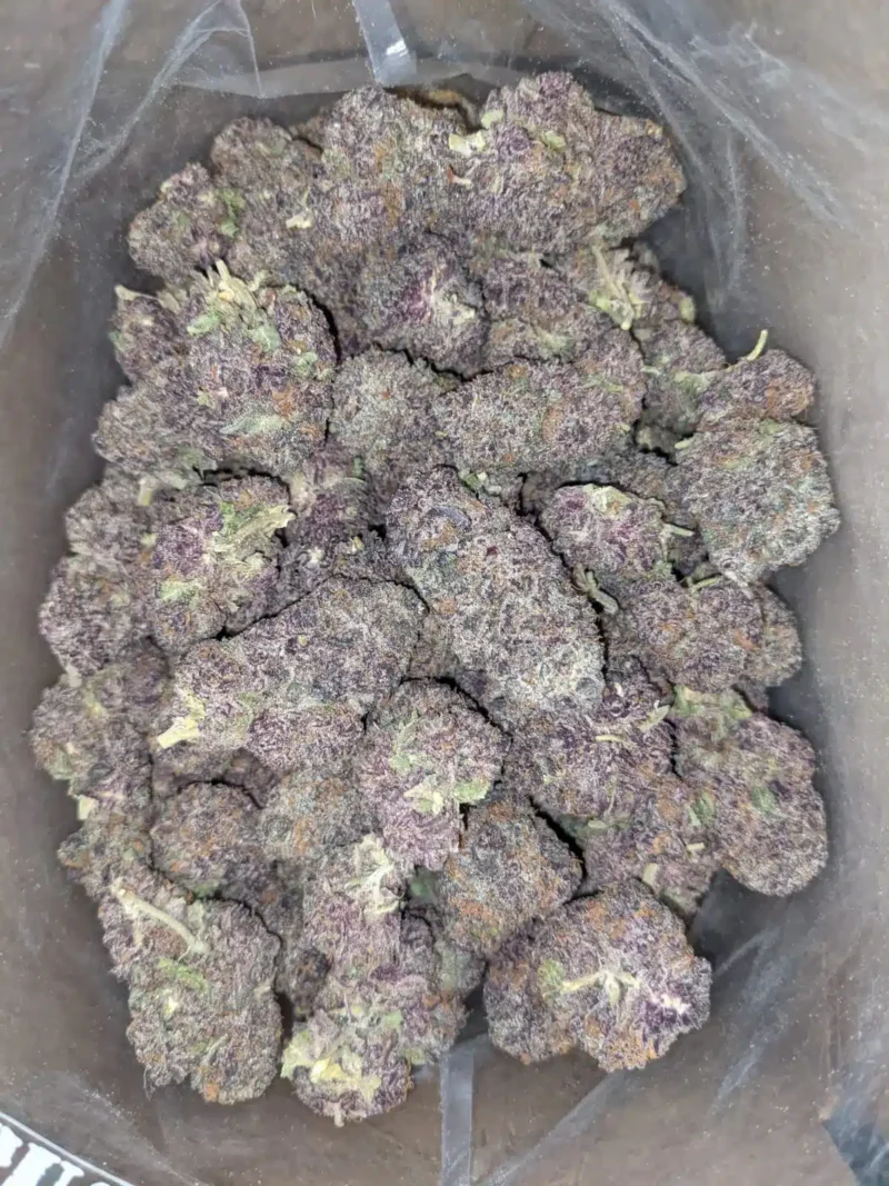 Purple Voodoo - Image 6