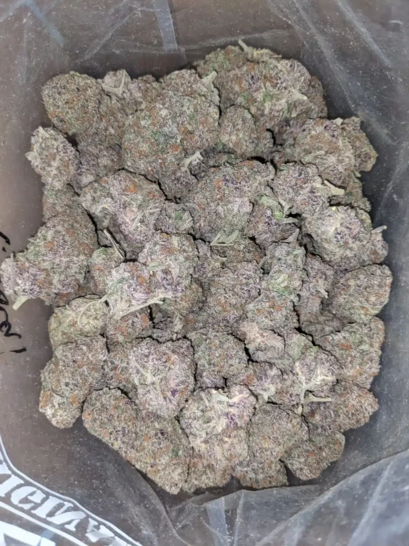 Purple Acai - Image 4