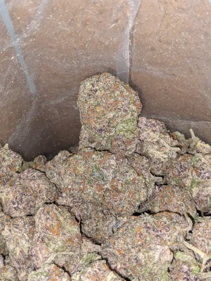 Purple Acai - Image 6