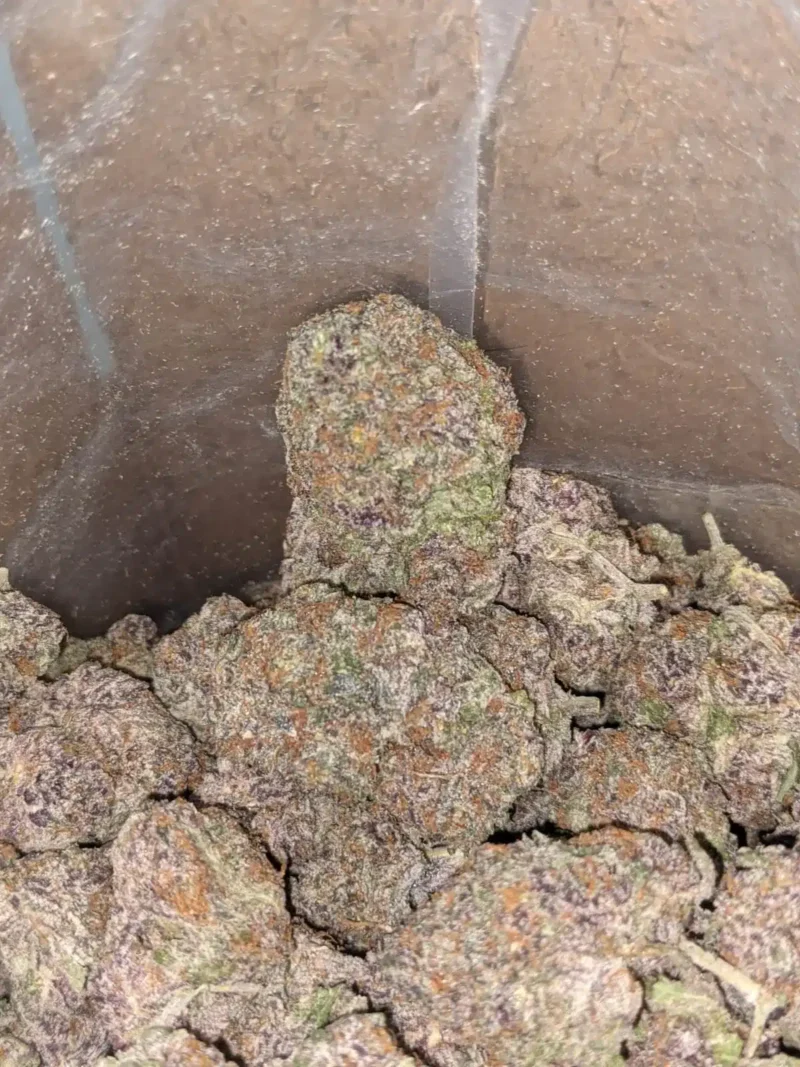 Purple Acai - Image 7