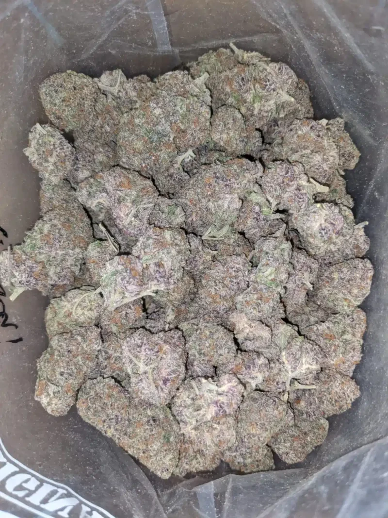 Purple Acai - Image 5