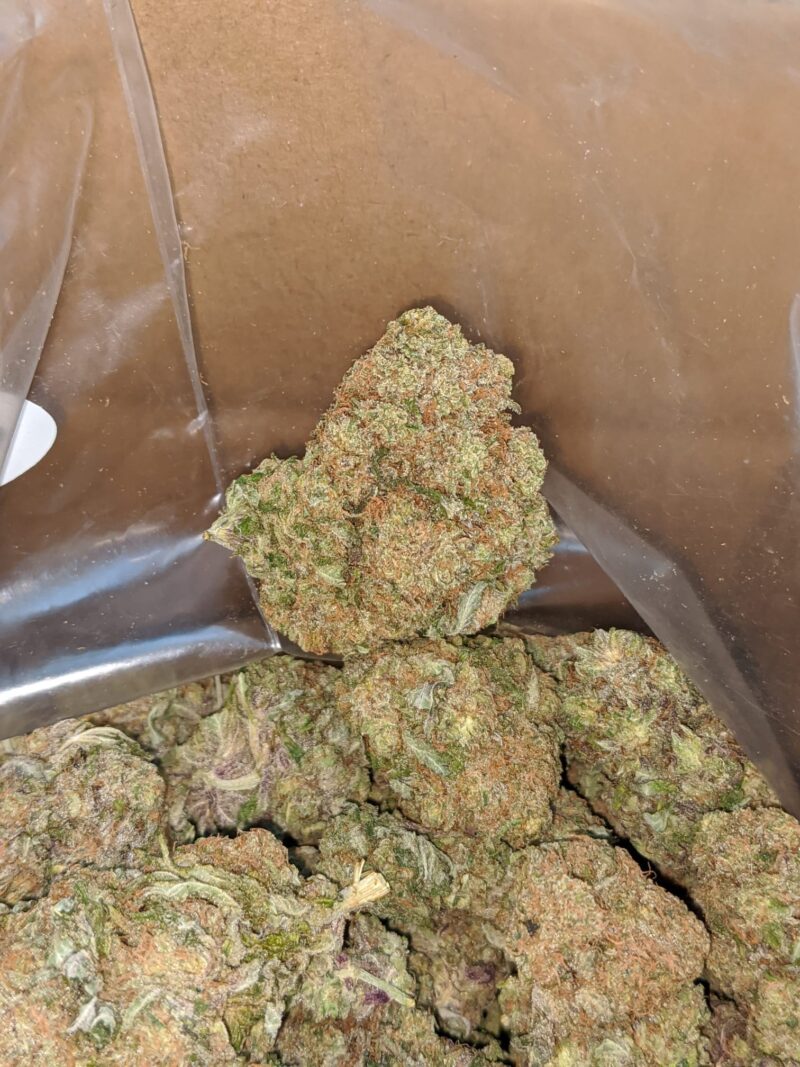 Purple Amnesia - Image 5