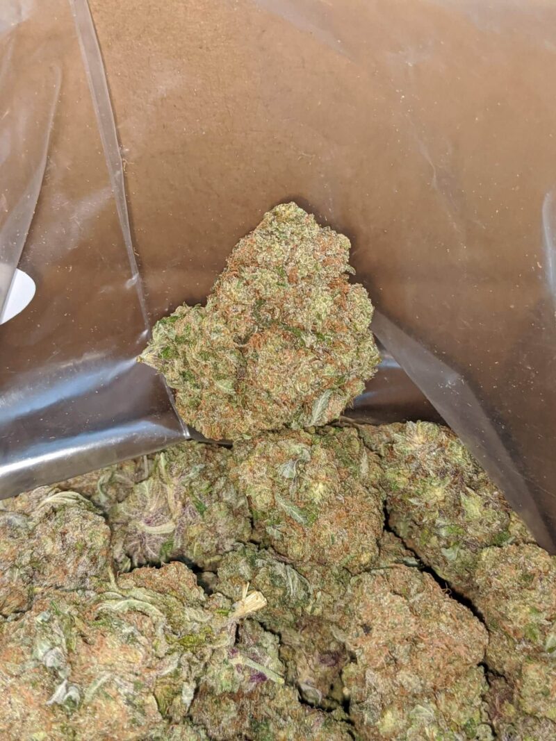 Purple Amnesia - Image 4