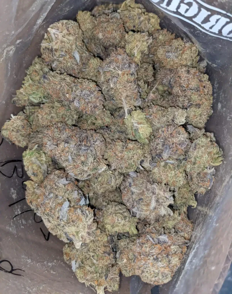 Purple Bubba