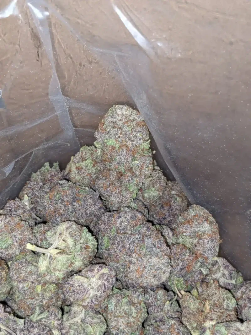 Purple God - Image 5