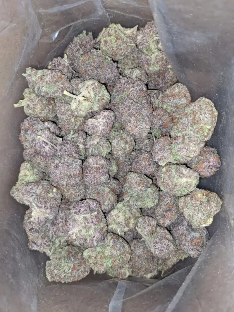 Purple God - Image 4