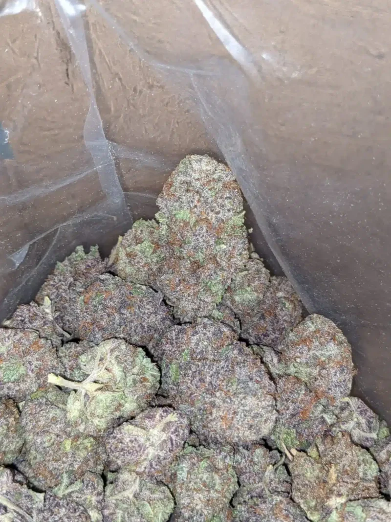 Purple God - Image 7