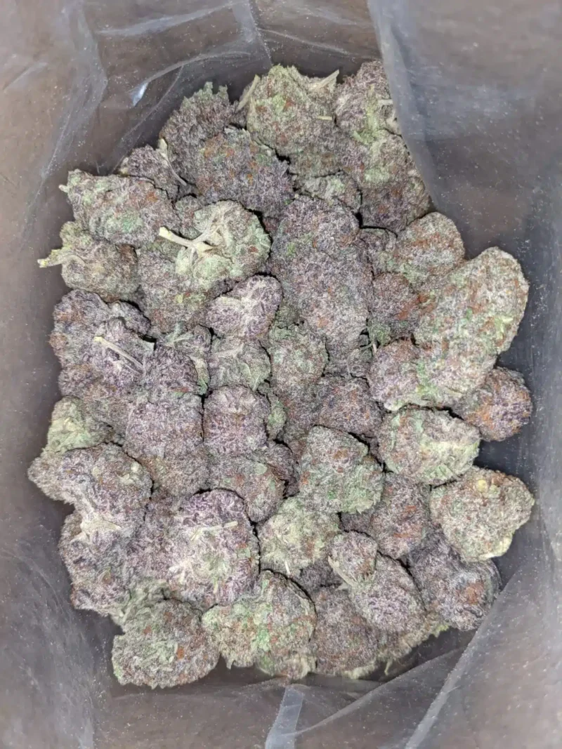 Purple God - Image 6