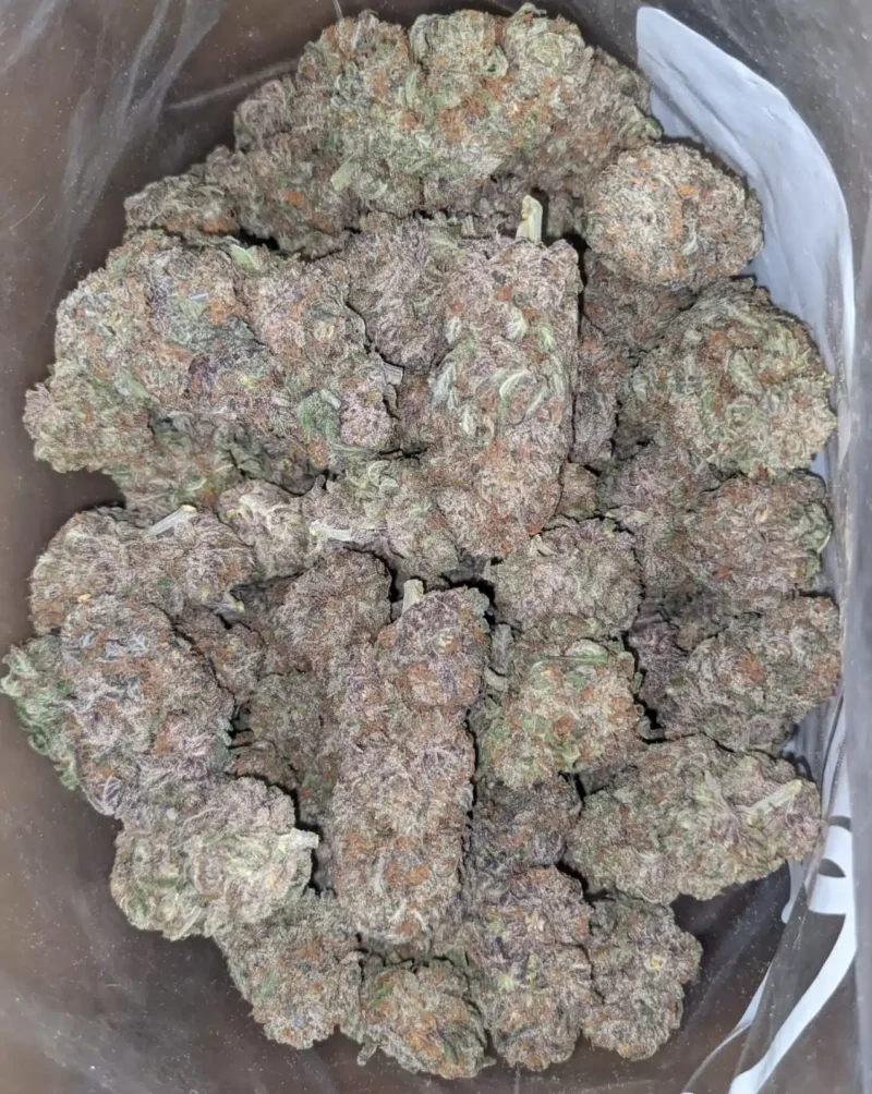 Purple Haze - Image 4