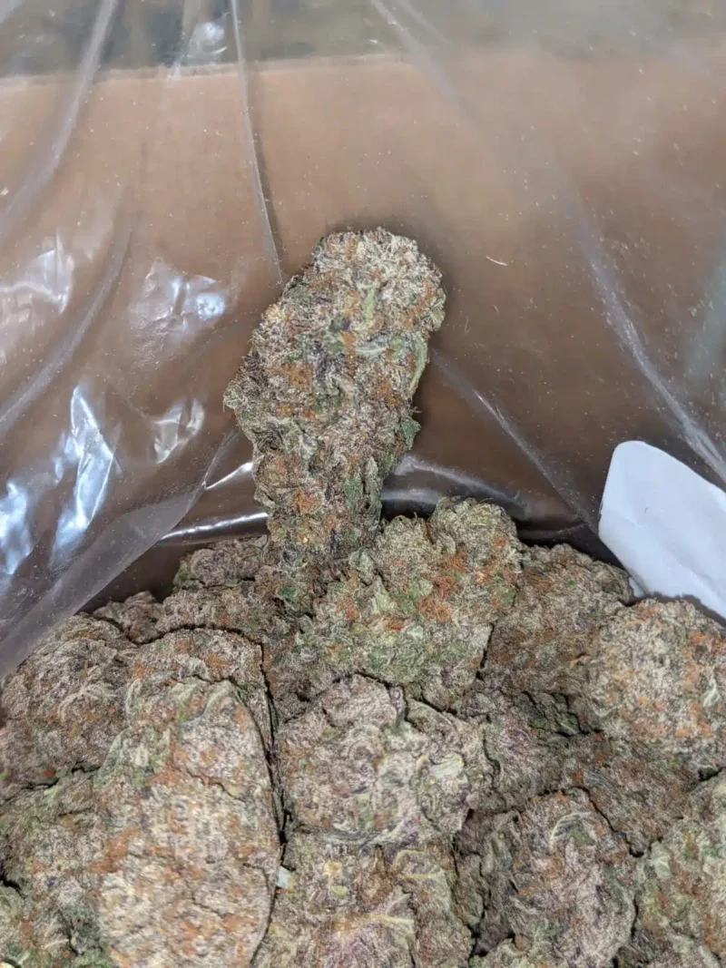 Purple Haze - Image 7