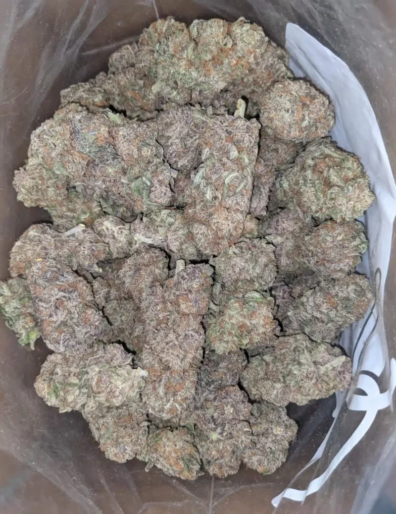Purple Haze - Image 5