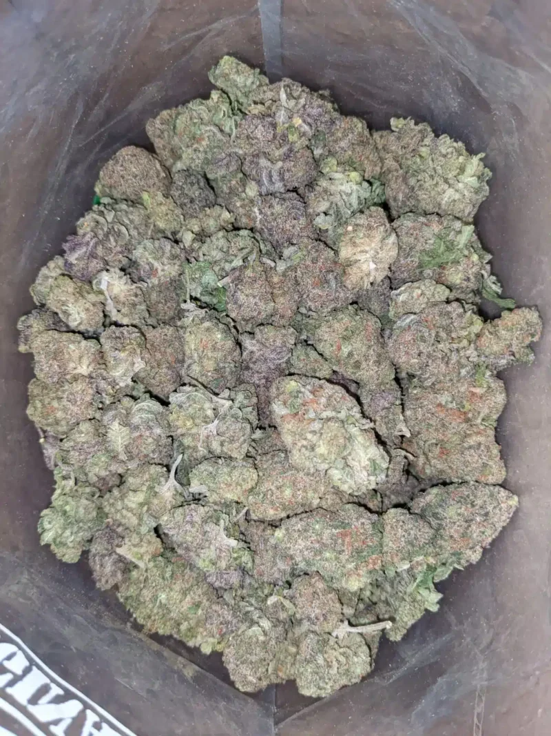 Purple Headband - Image 5