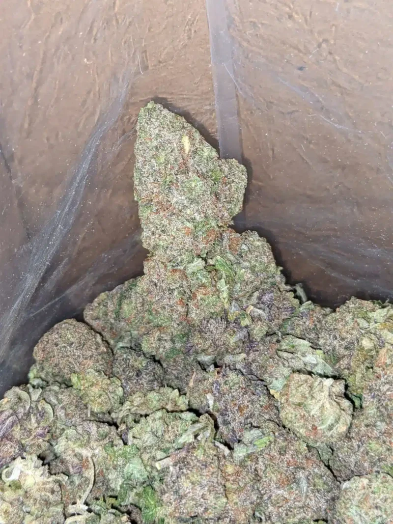 Purple Headband - Image 7