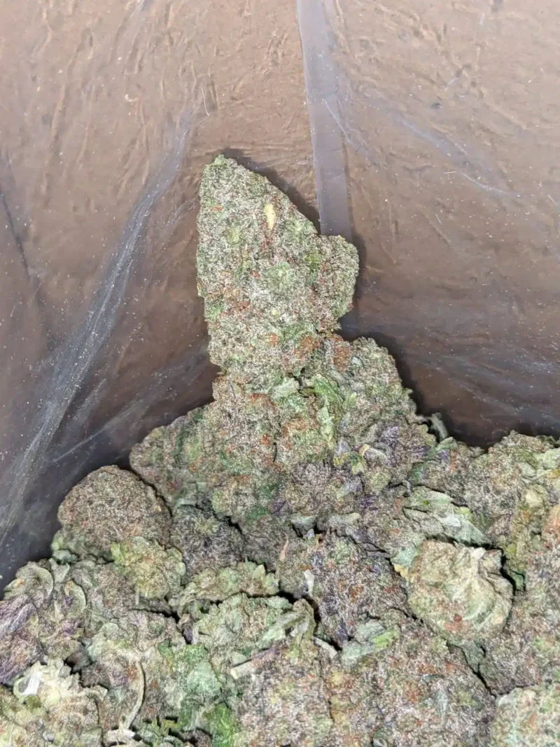 Purple Headband - Image 6