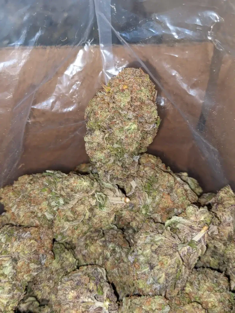 Purple Punch - Image 5