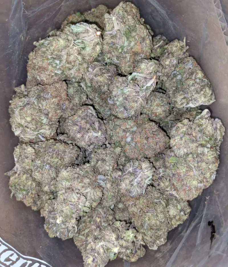 Purple Punch - Image 7