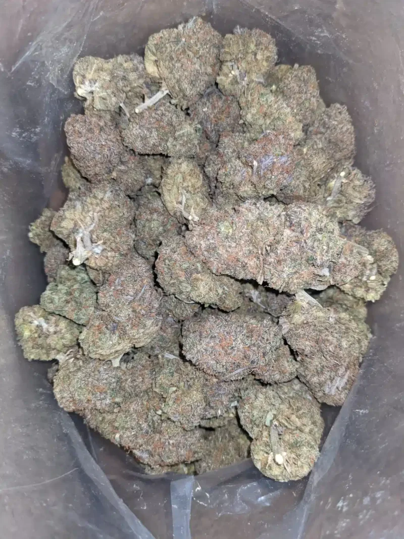 Purple Runtz - Image 6