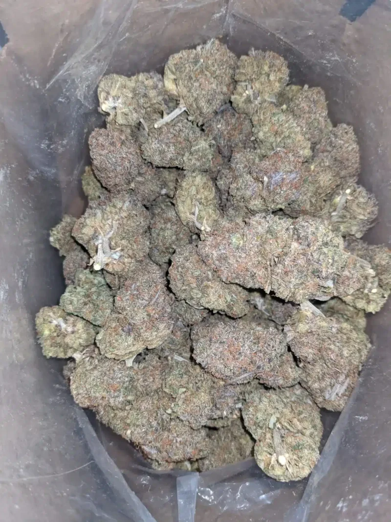 Purple Runtz - Image 5