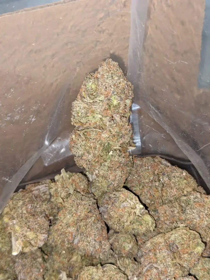 Purple Runtz - Image 4