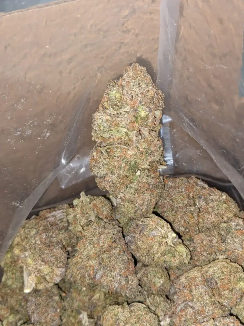 Purple Runtz - Image 7