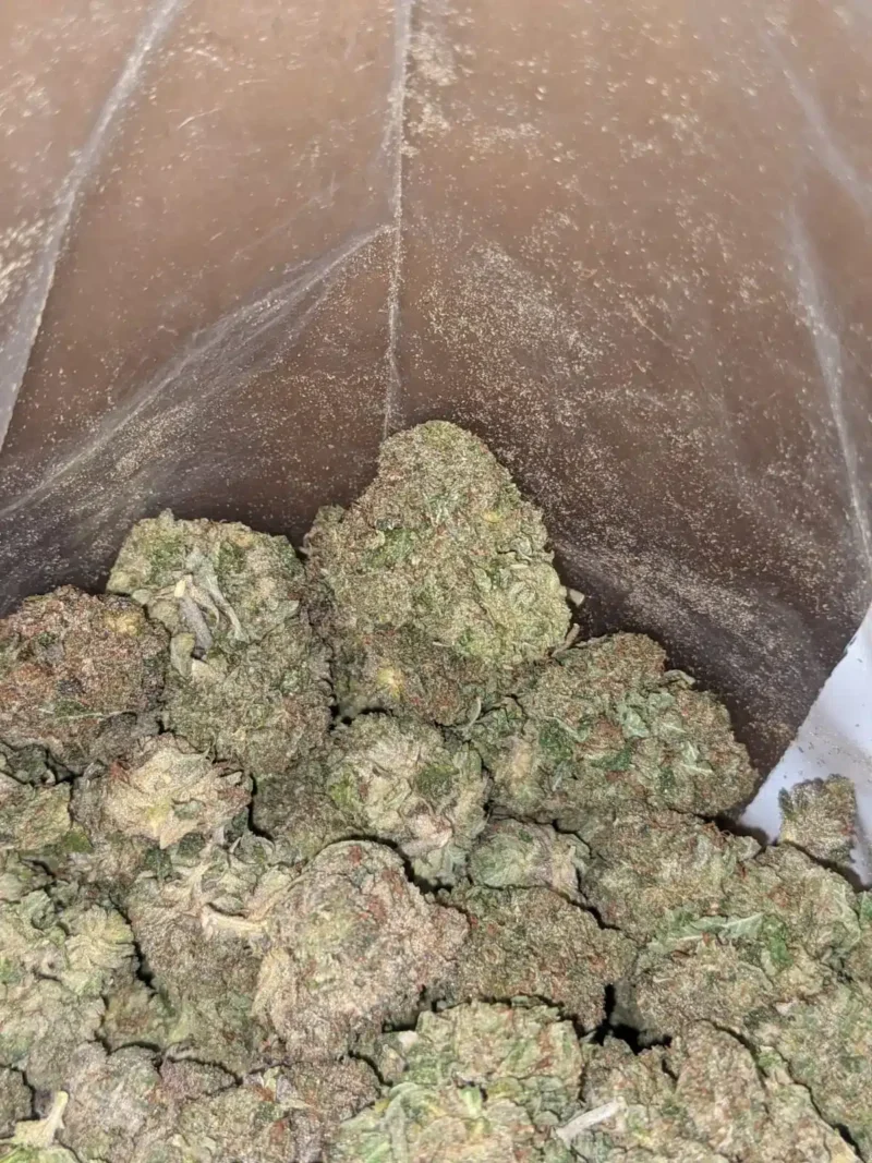 Purple Wreck - Image 7