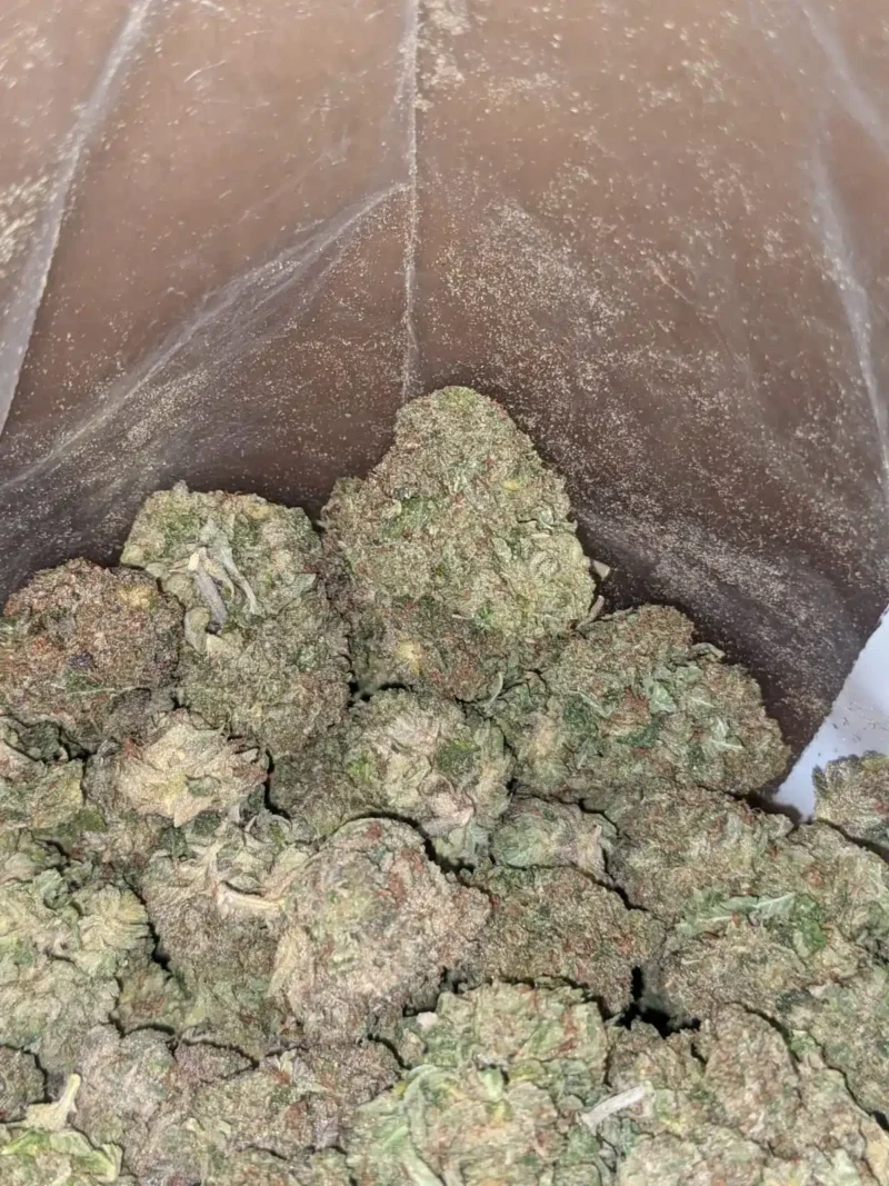 Purple Wreck - Image 6