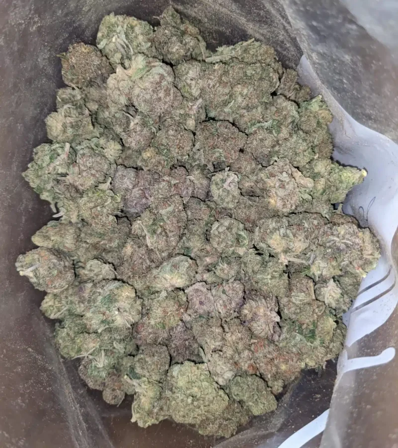Purple Wreck - Image 5
