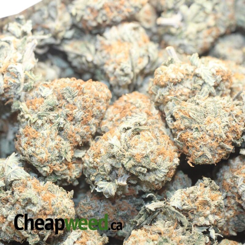 Quantum Kush - Image 3