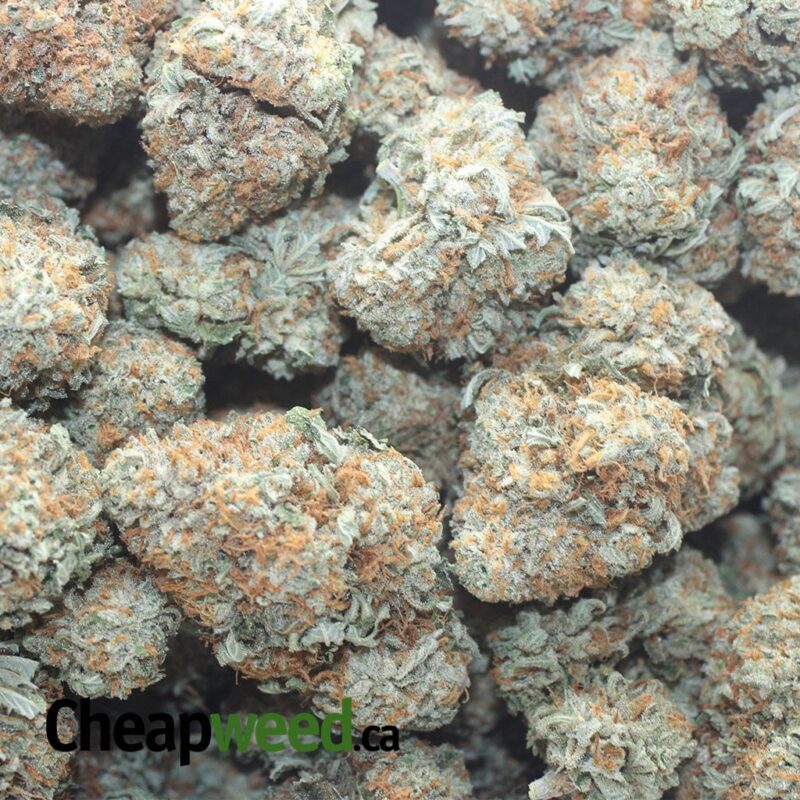 $ 53 Oz – Racefuel - Image 3