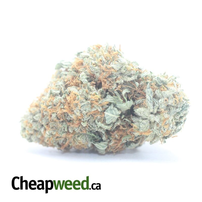 $ 53 Oz – Racefuel