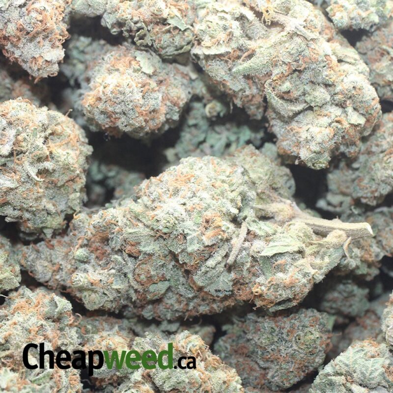 Raspberry Cough - Image 3