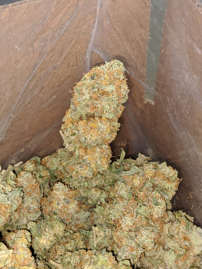 Raspberry Cough - Image 5