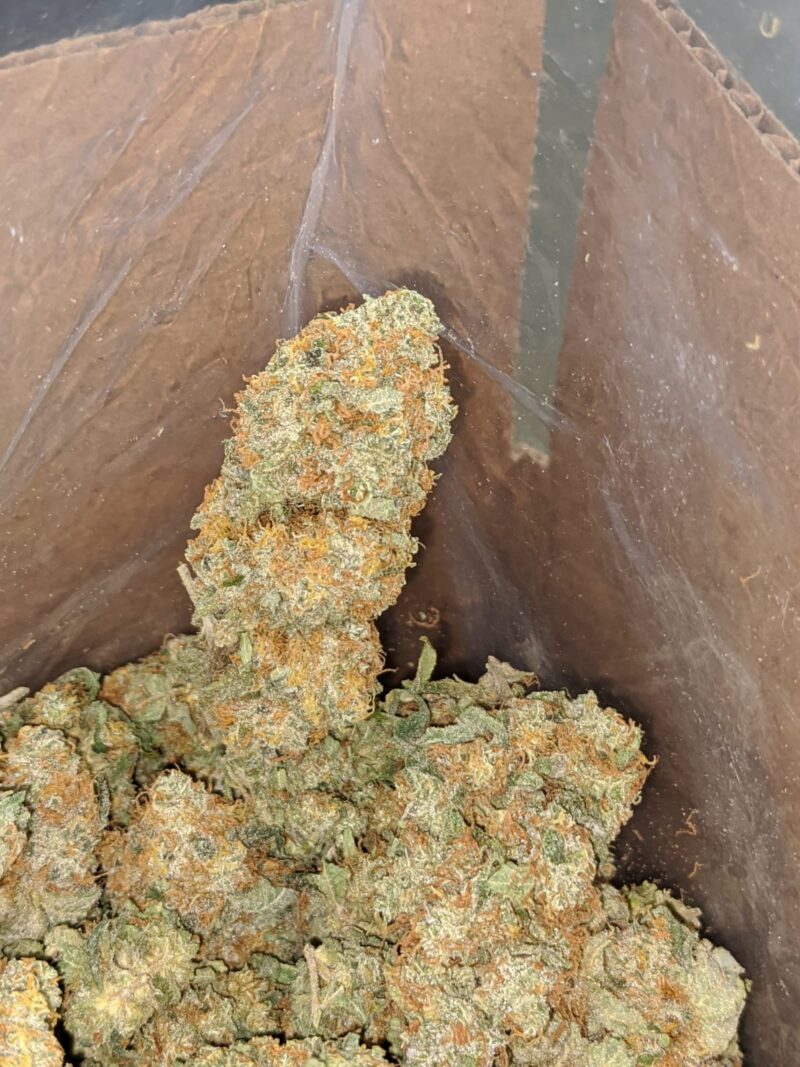 Raspberry Cough - Image 4