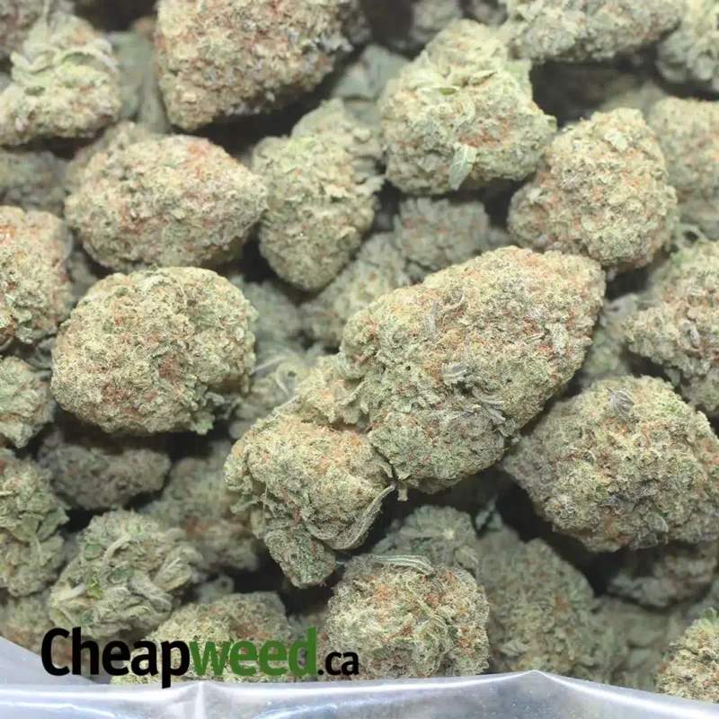 Raw Dawg - Image 3