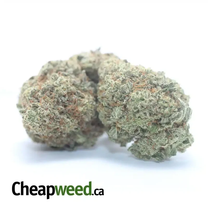 Raw Dawg - Image 2
