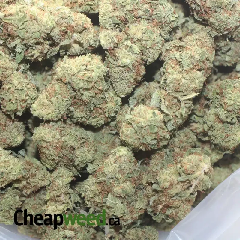 Rocket Fuel - Image 3