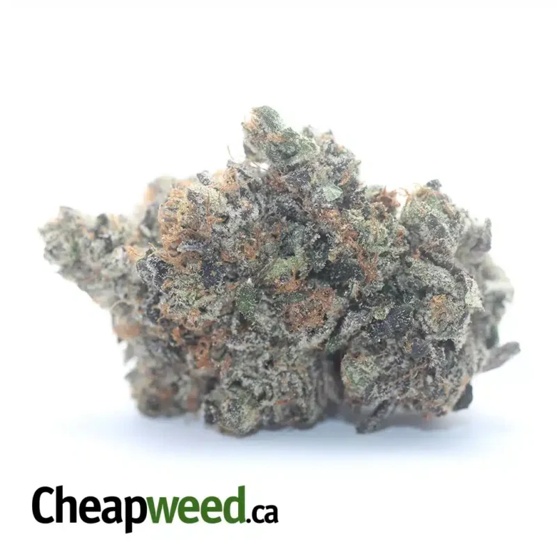 Rockstar Bubba