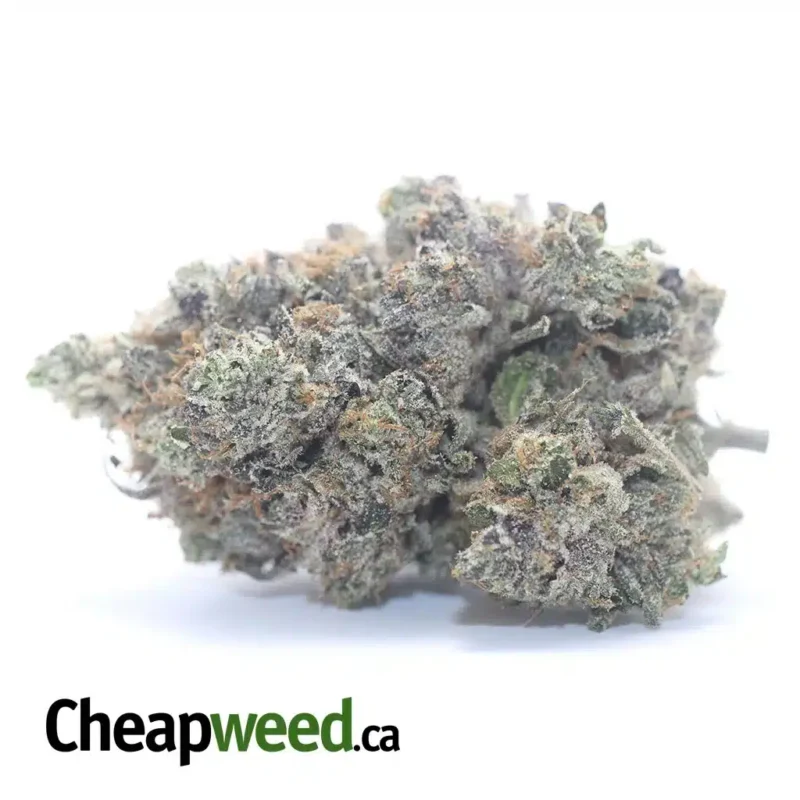 Rockstar Kush