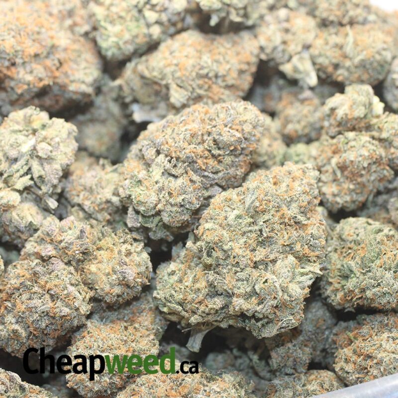 Runtz X Purple Punch - Image 3