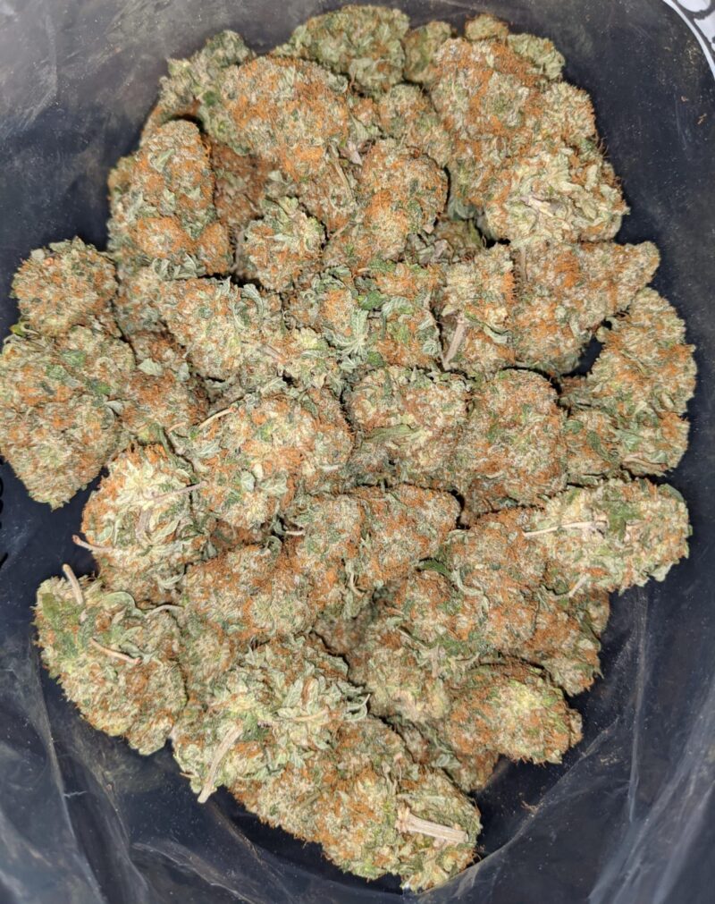 Russian Cream