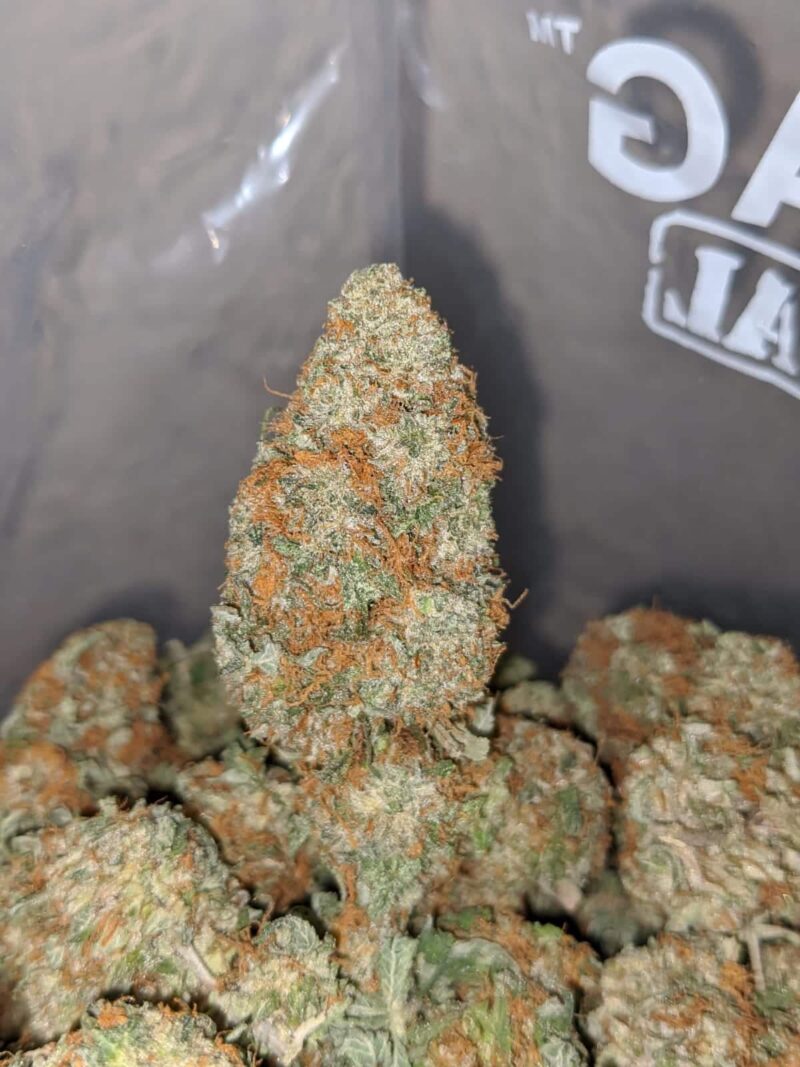 Russian Cream - Image 5