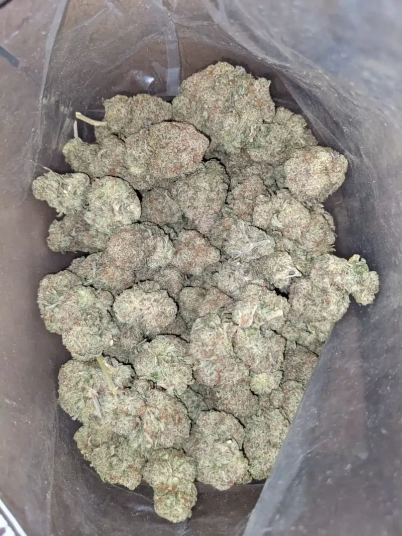 Raw Dawg - Image 5