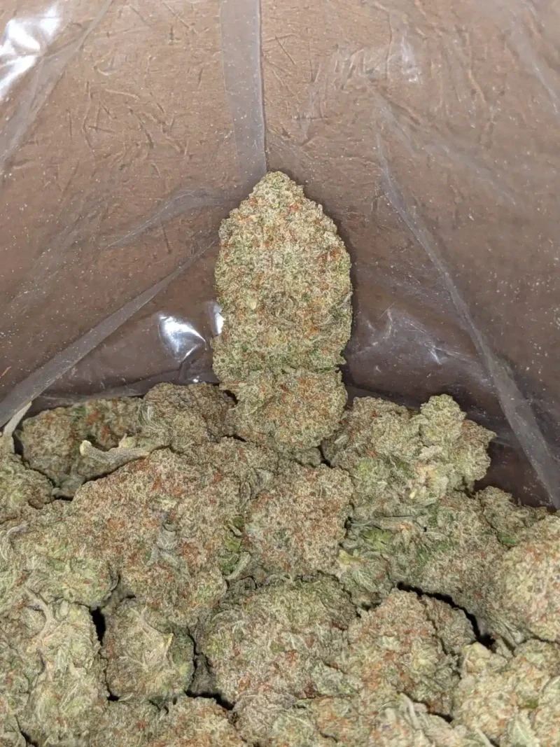 Raw Dawg - Image 7