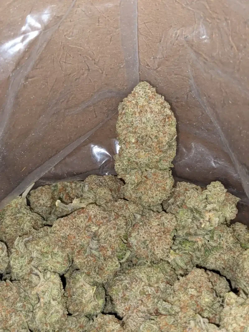 Raw Dawg - Image 6