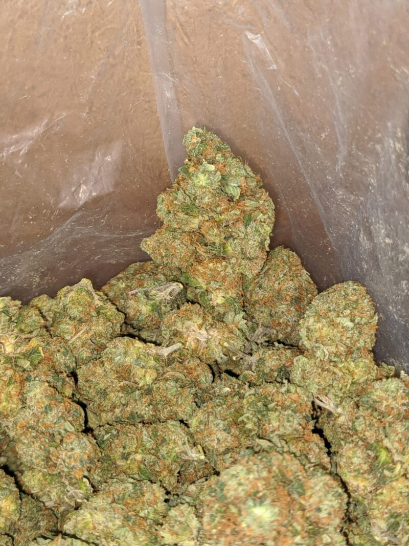 Rock bud - Image 5