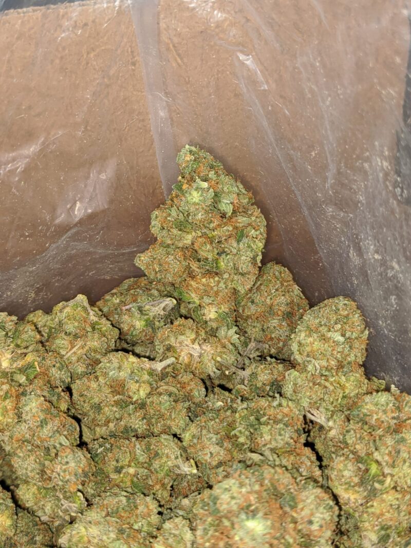 Rock bud - Image 4
