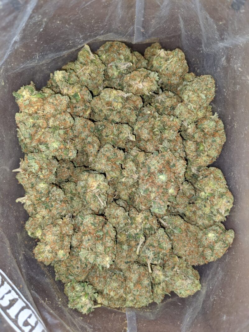 Rock bud - Image 7