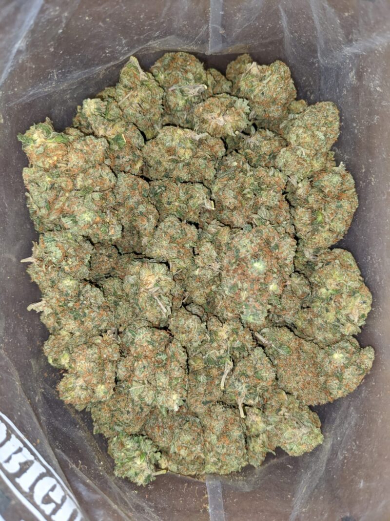 Rock bud - Image 6
