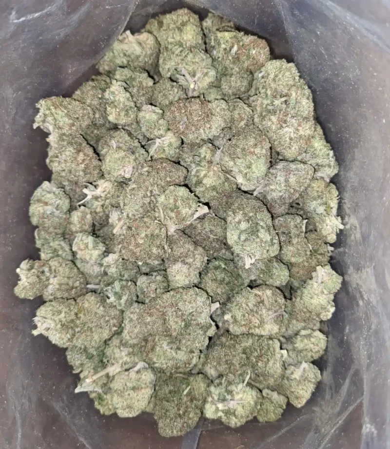 Rockbud Bulk Special - Image 5
