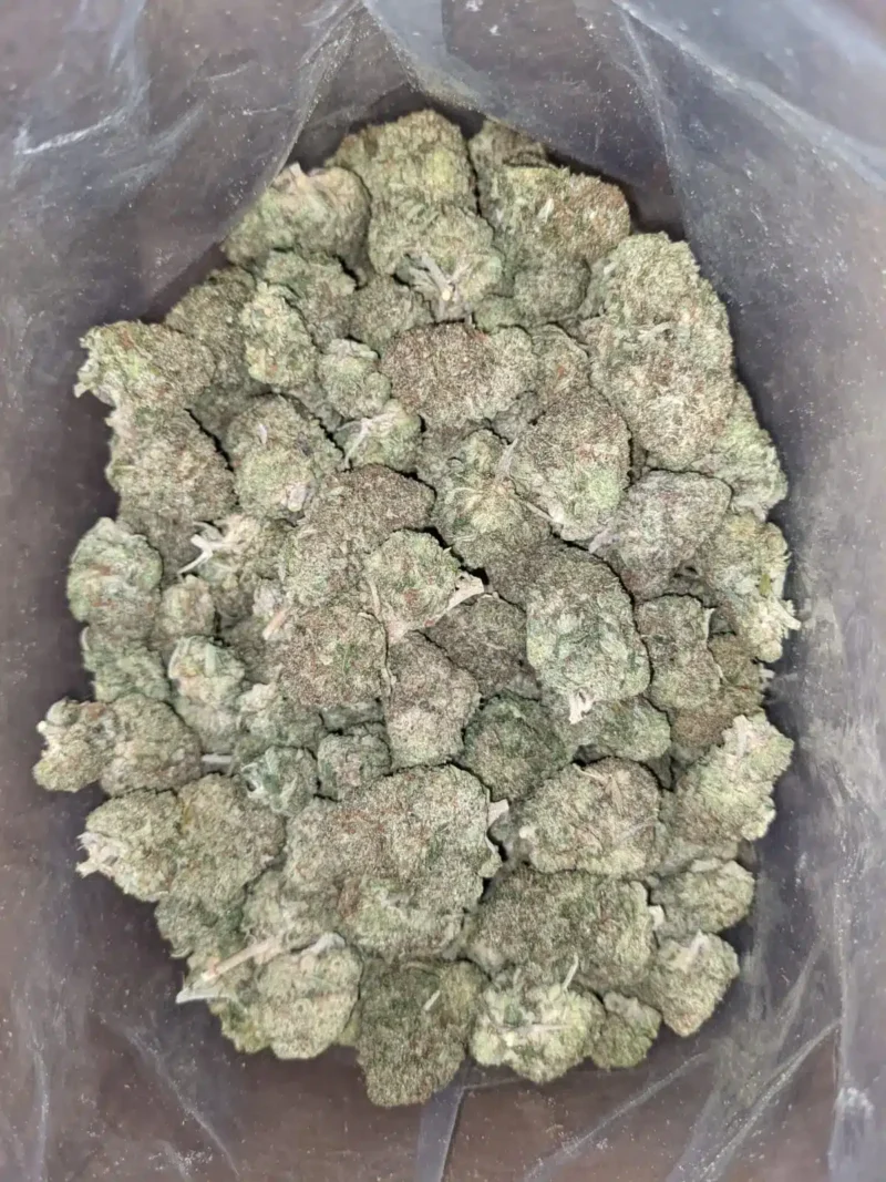 Rockbud Bulk Special - Image 4